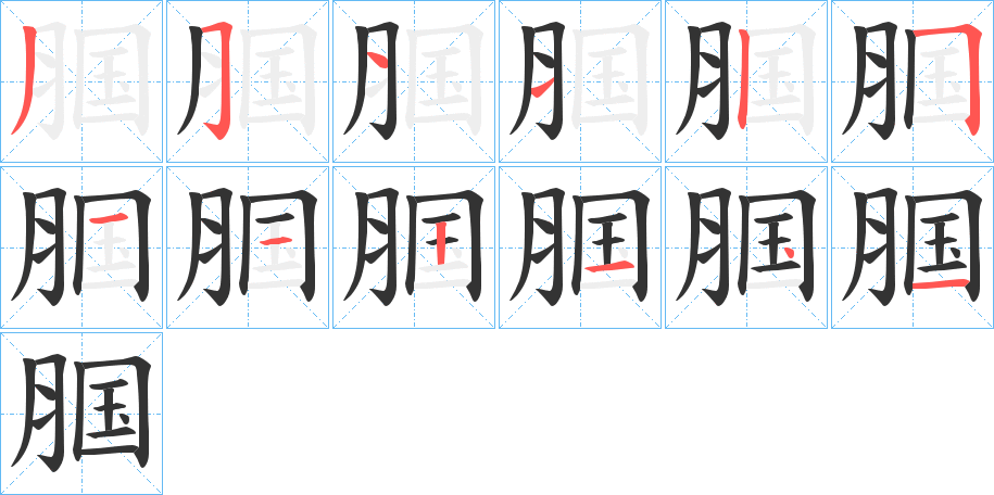 腘的笔画顺序图