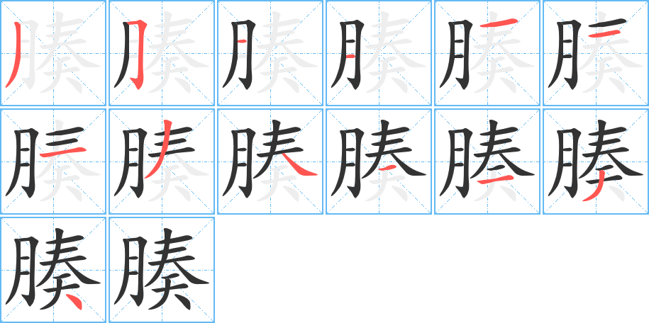 腠的笔画顺序图