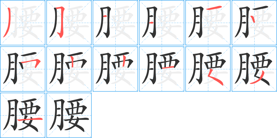 腰的笔画顺序图