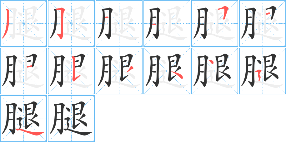 腿的笔画顺序图