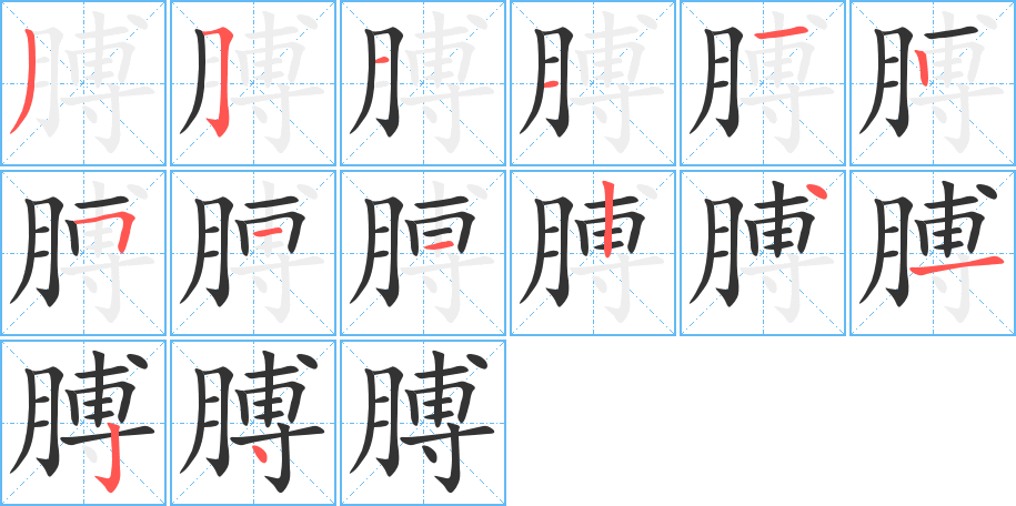 膊的笔画顺序图