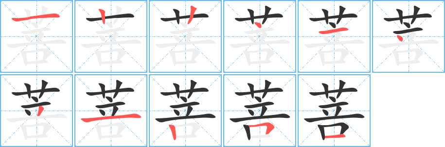 菩的笔画顺序图