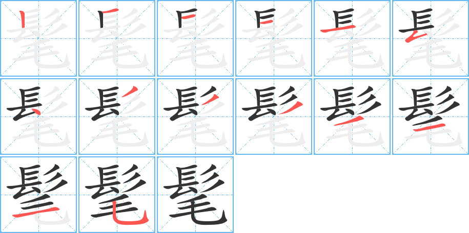 髦的笔画顺序图