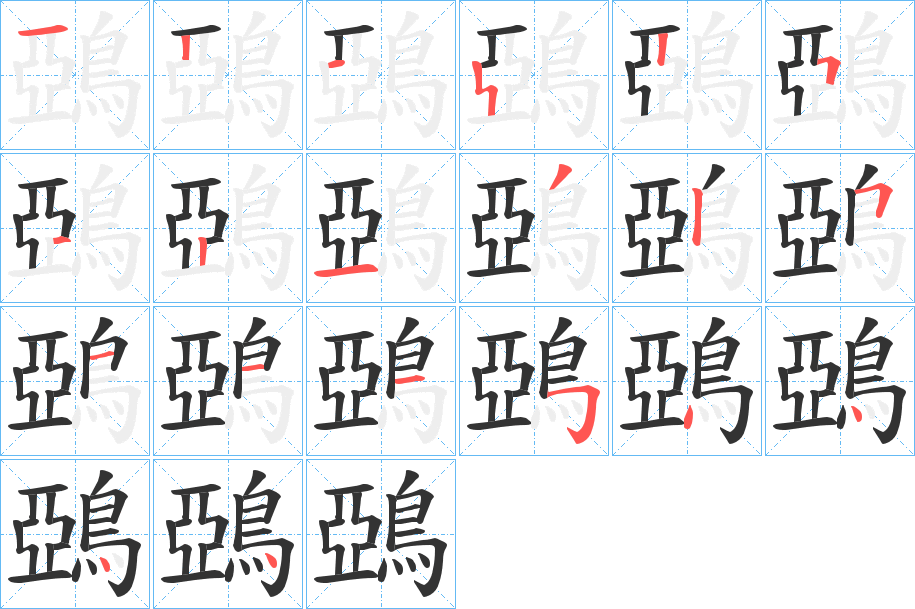 鵶的笔画顺序图