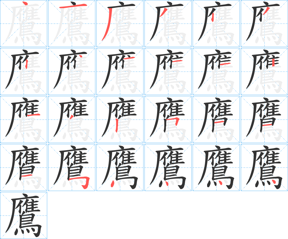 鷹的笔画顺序图