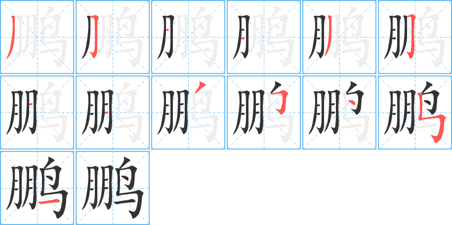 鹏的笔画顺序图